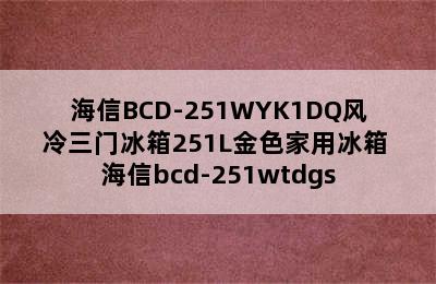 海信BCD-251WYK1DQ风冷三门冰箱251L金色家用冰箱 海信bcd-251wtdgs